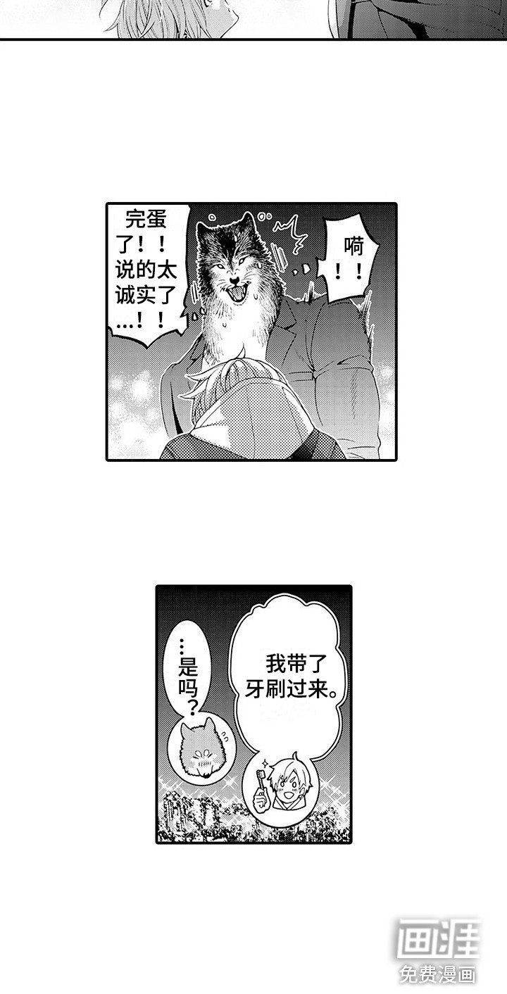 第17章：太诚实了 