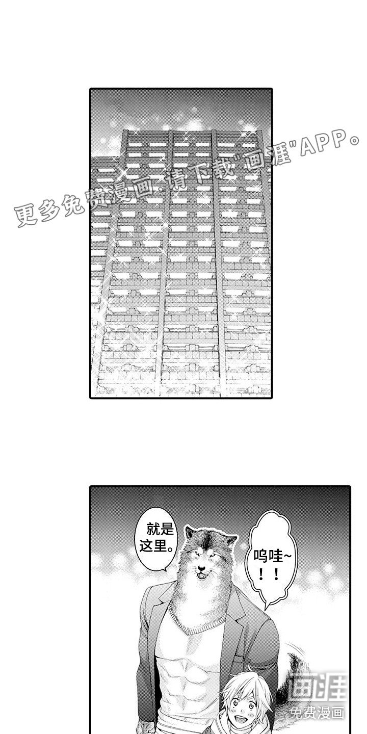 第18章：宽敞的房间