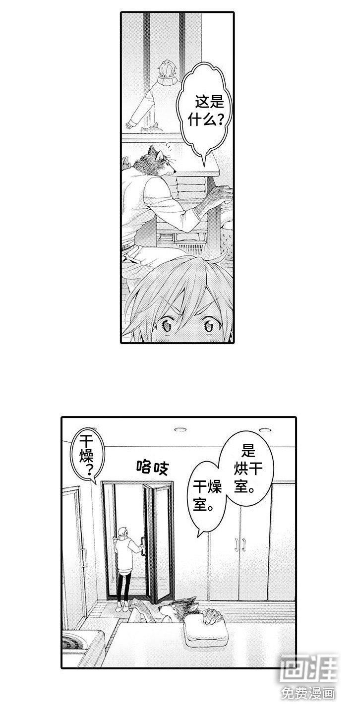 第19章：一起洗