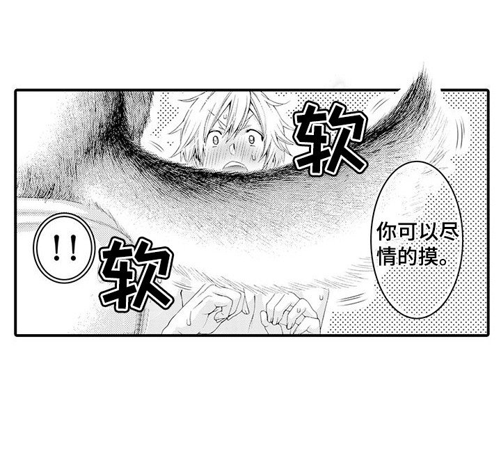 第19章：一起洗