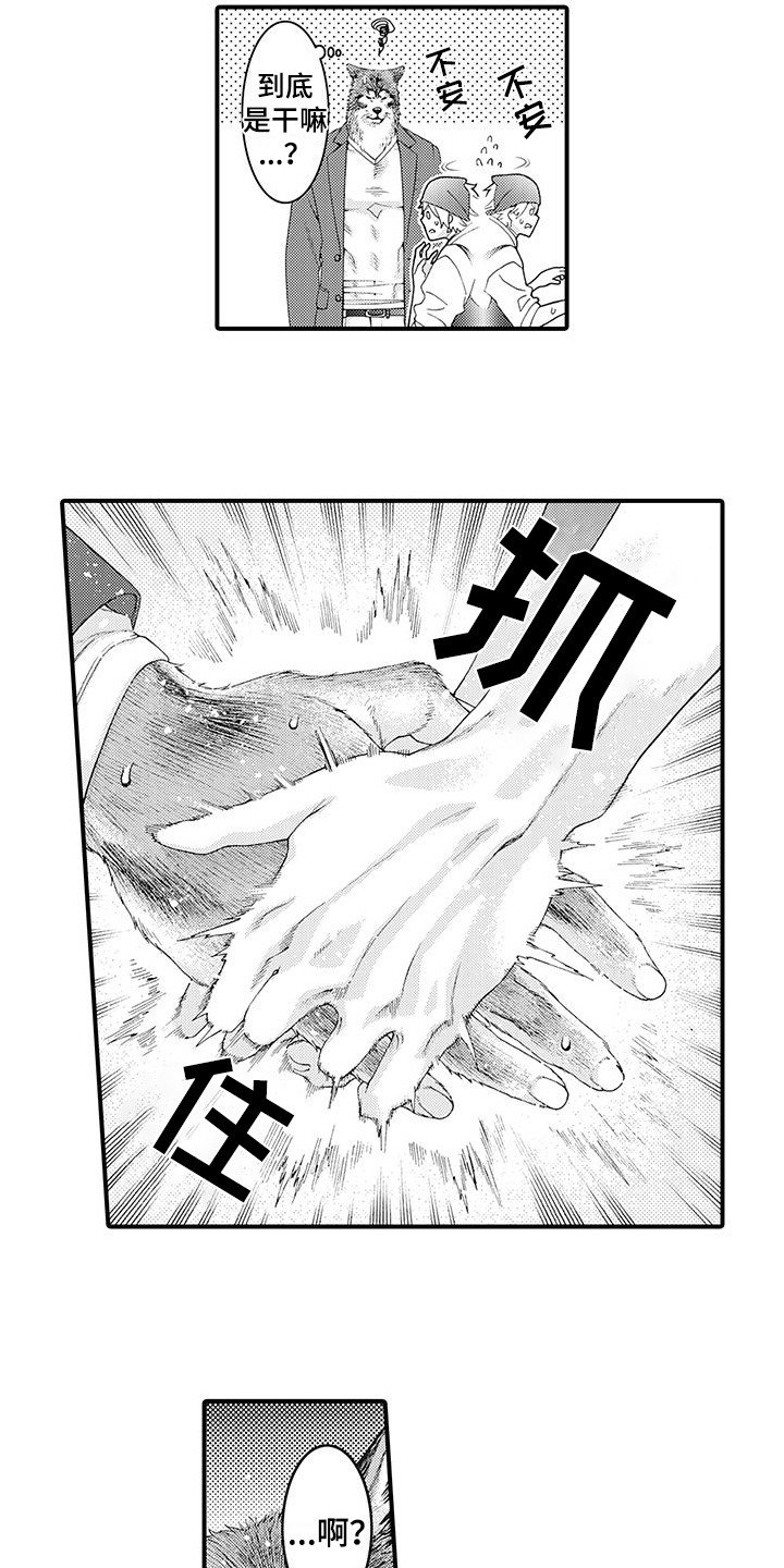 第2章：比比划划