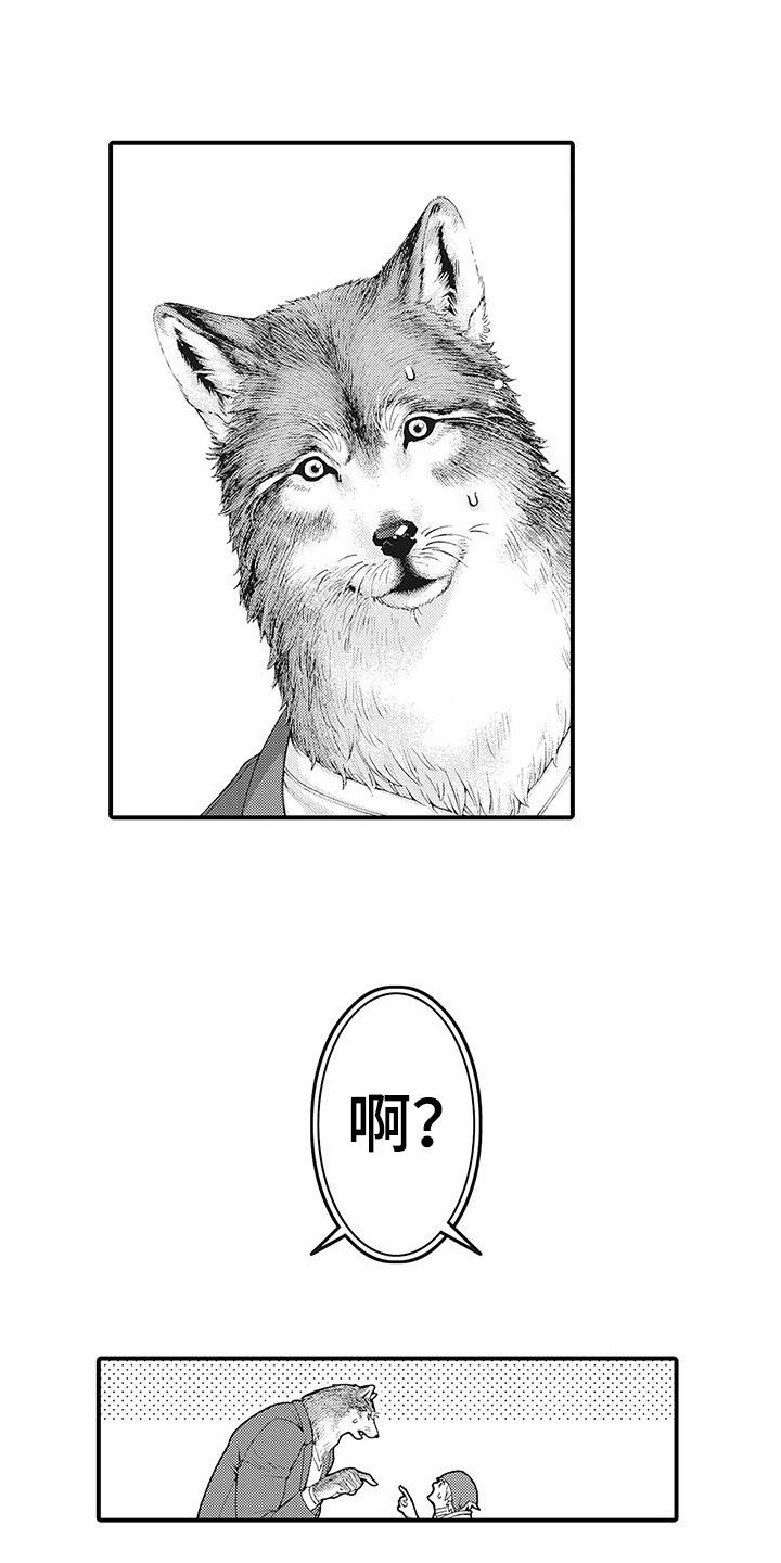 第2章：比比划划