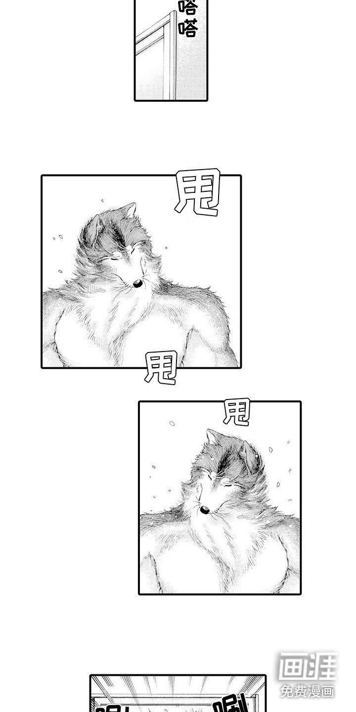 第21章：变得喜欢