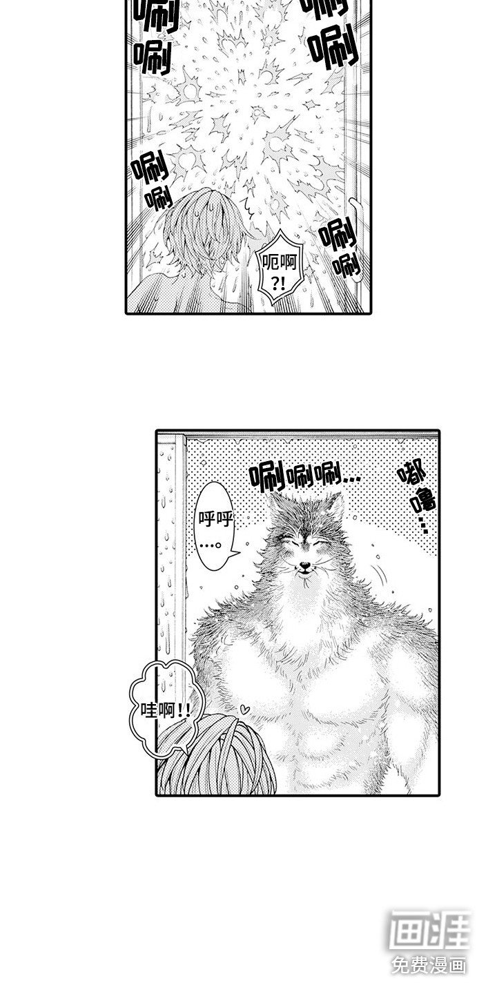 第21章：变得喜欢