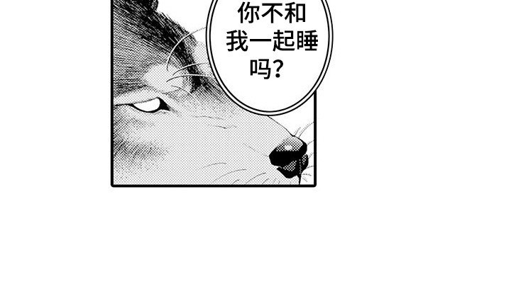 第22章：很好闻