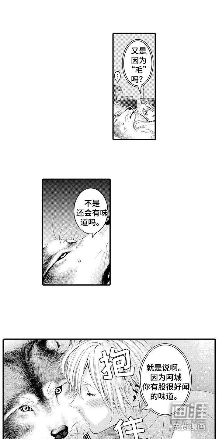 第22章：很好闻