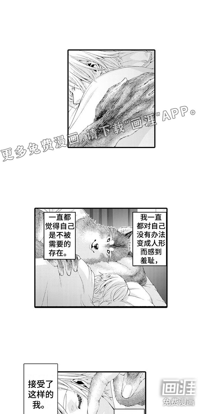 第23章：发热期