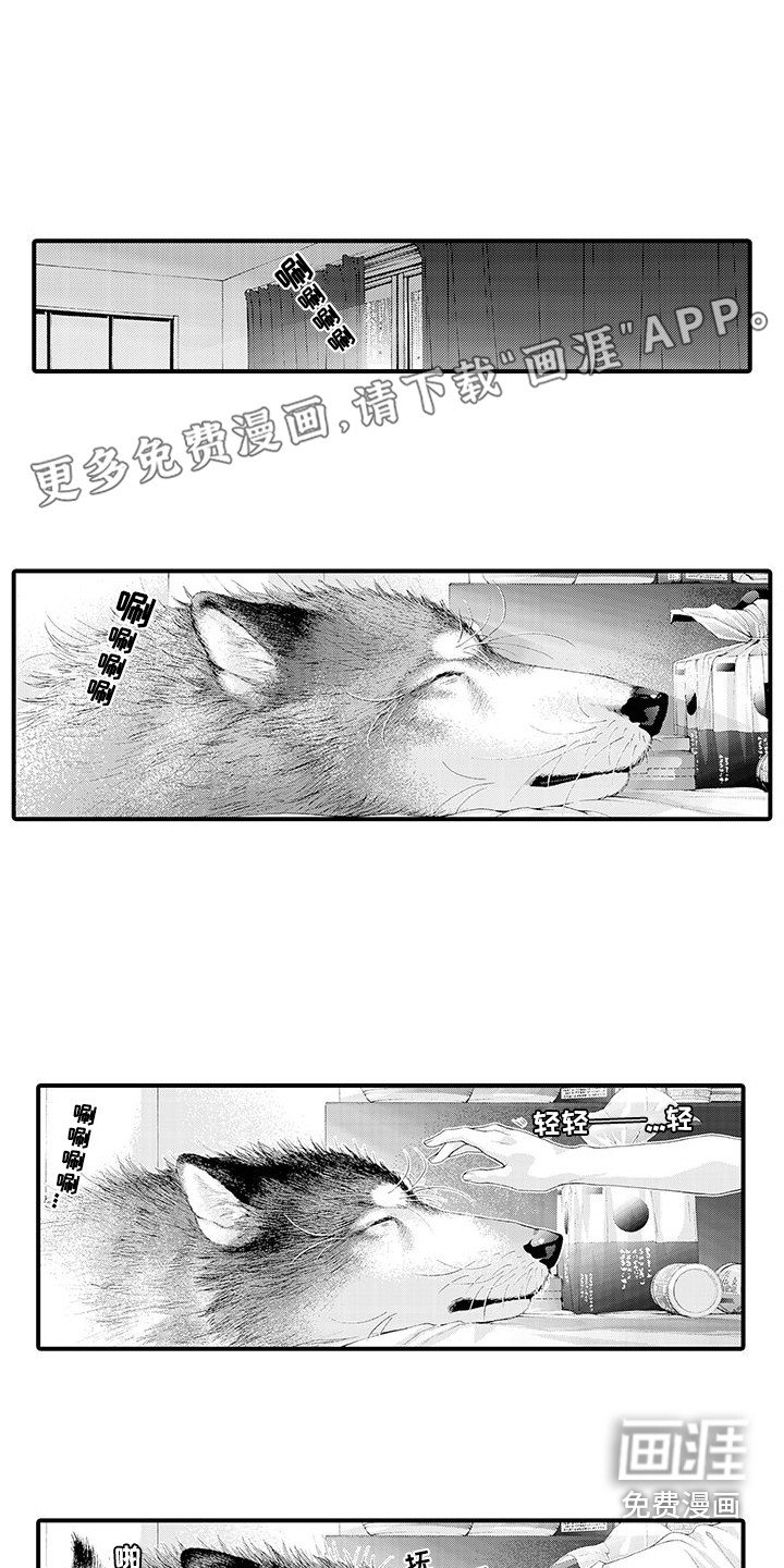 第28章：解释