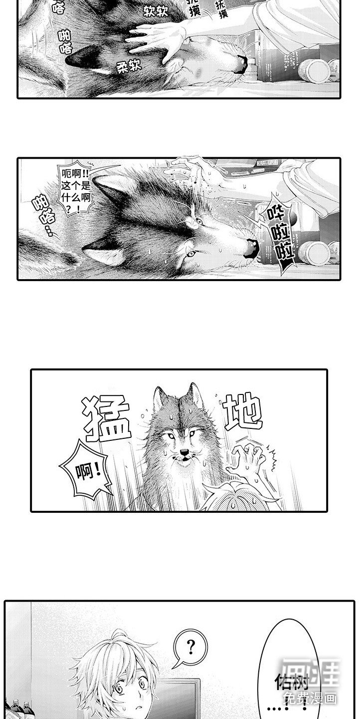 第28章：解释