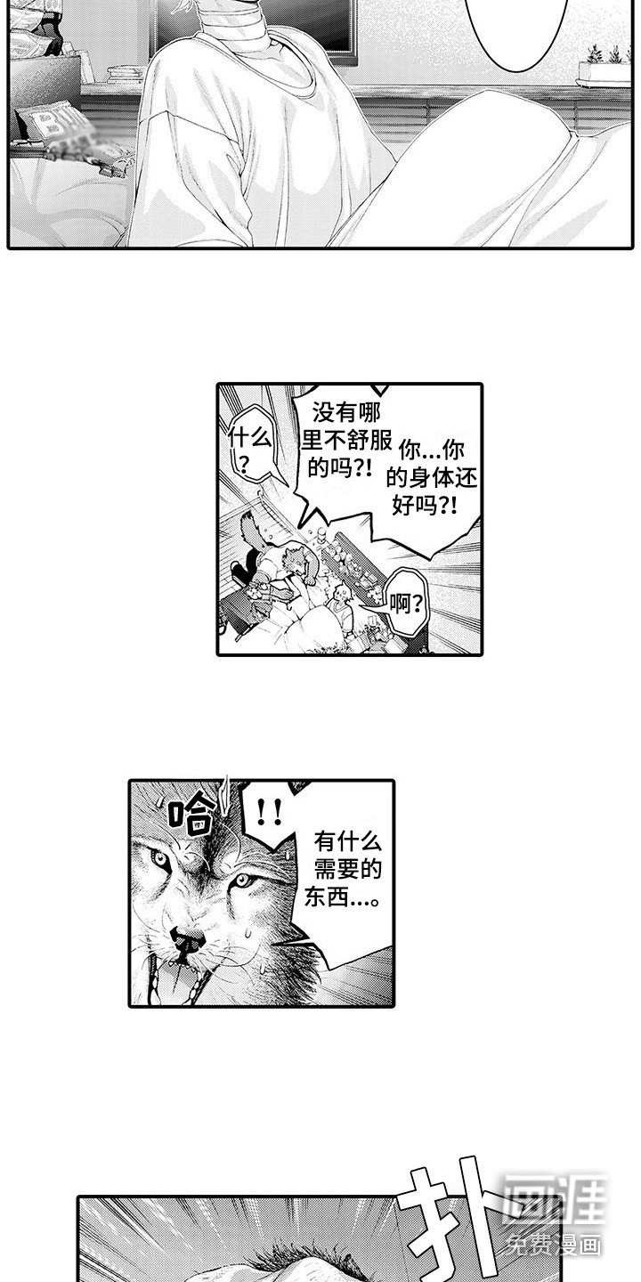 第28章：解释