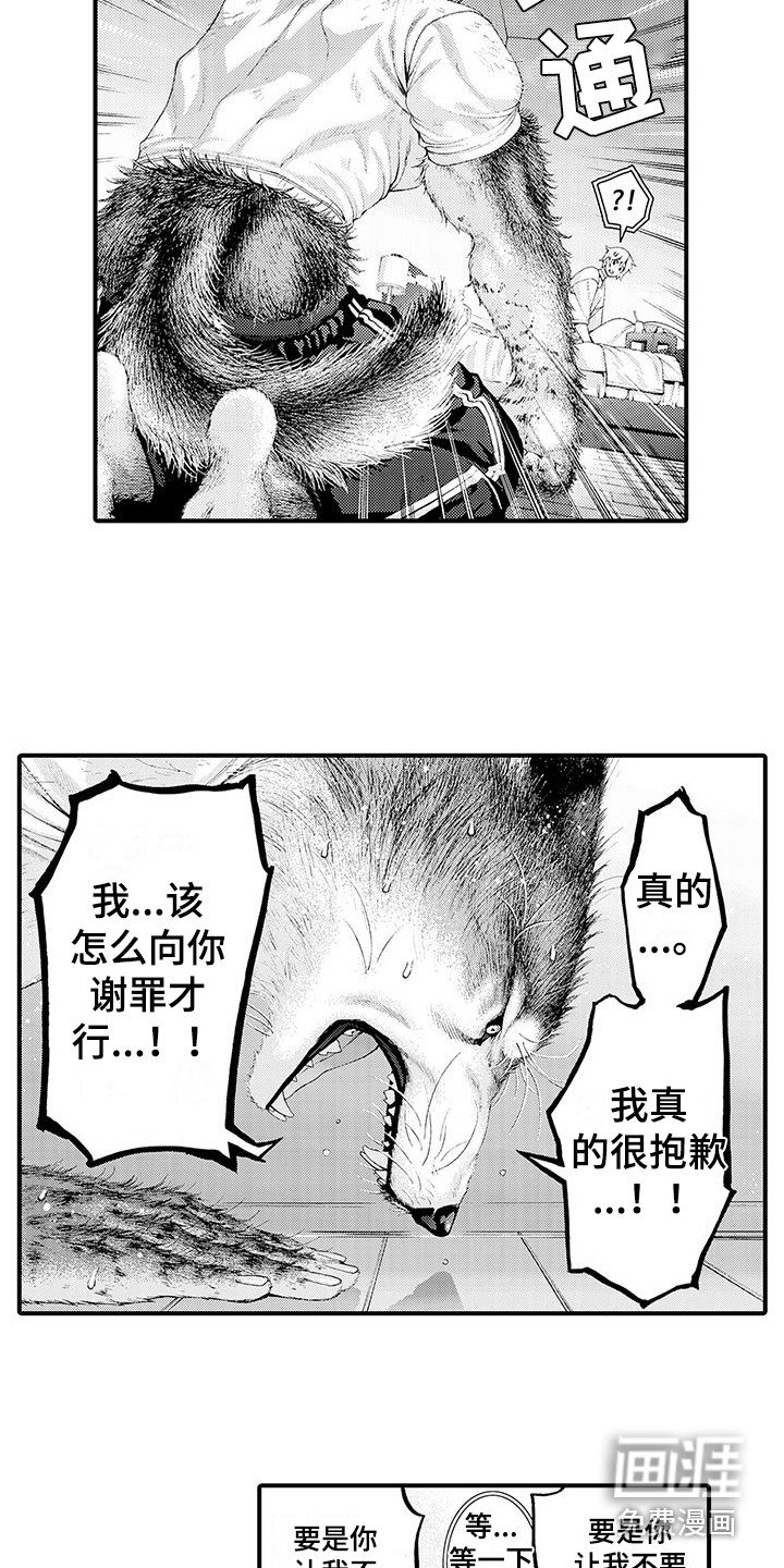 第28章：解释