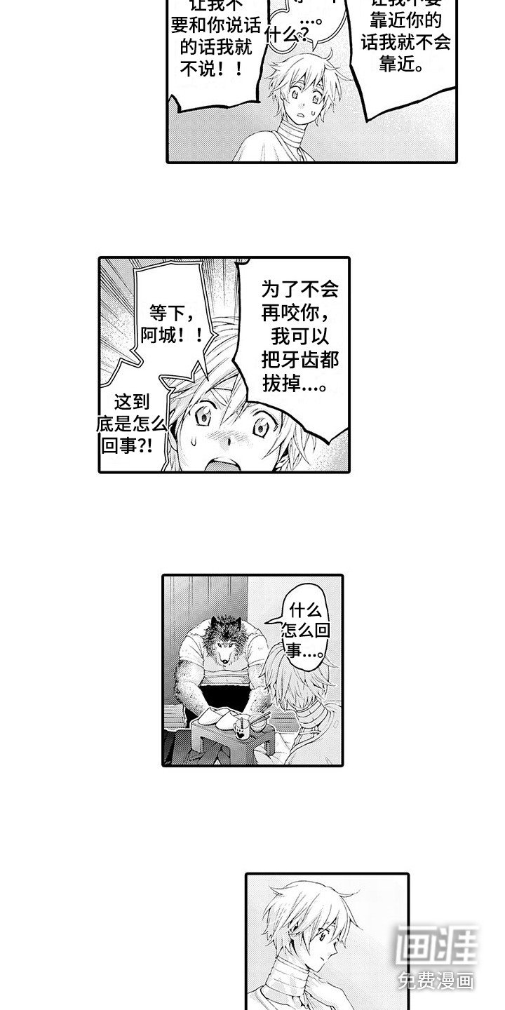 第28章：解释