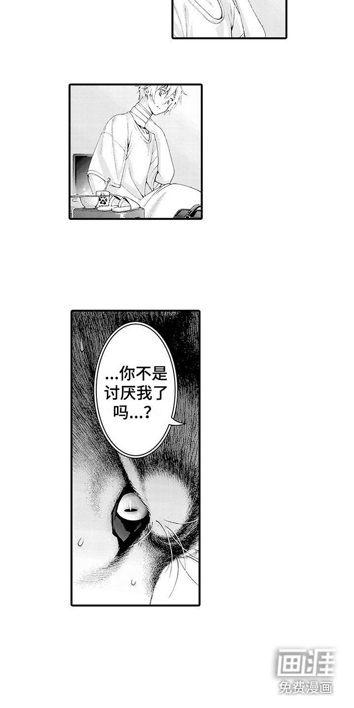 第28章：解释