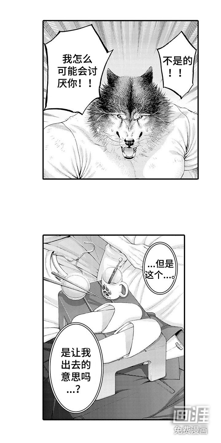 第28章：解释