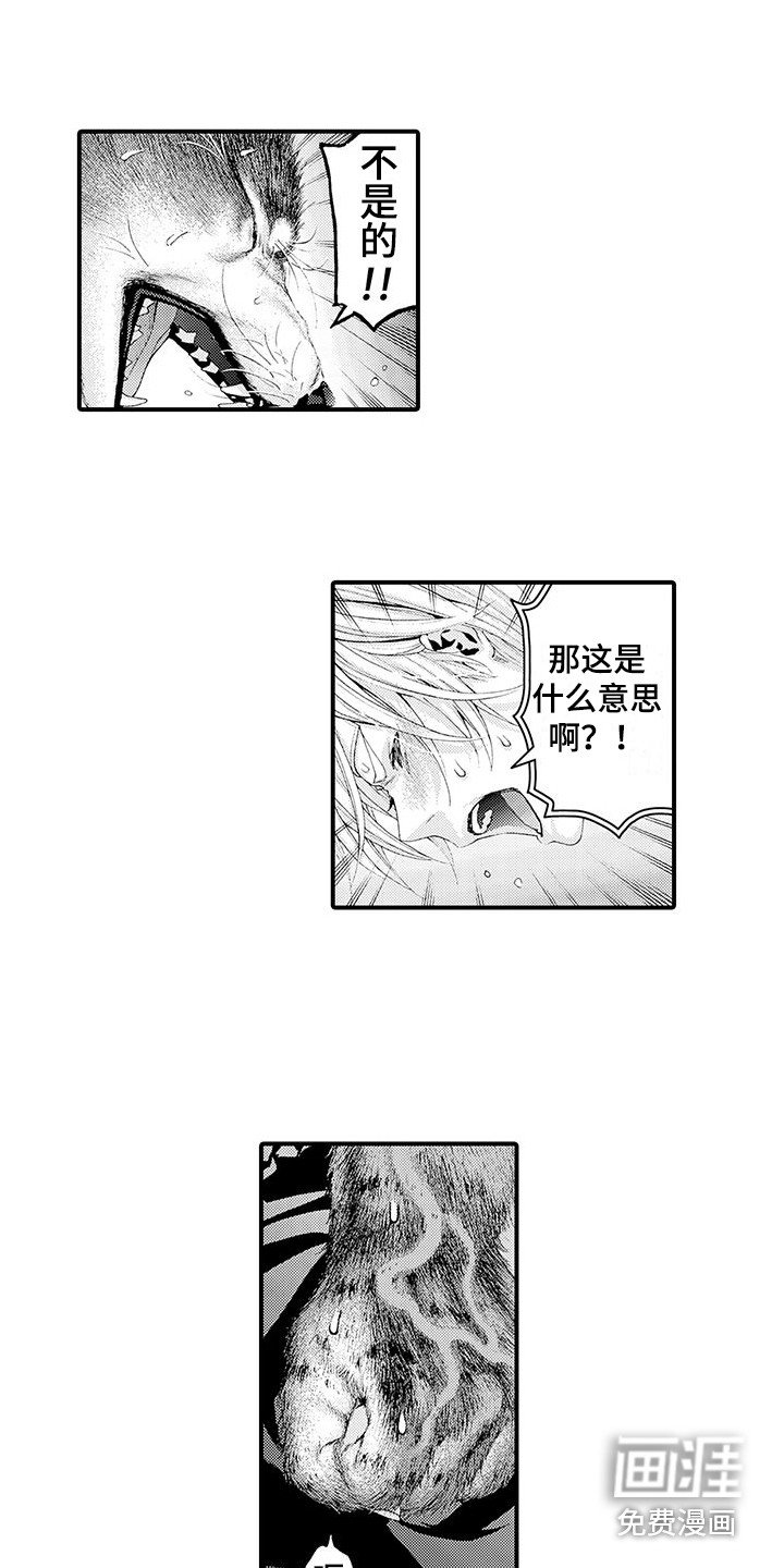 第28章：解释