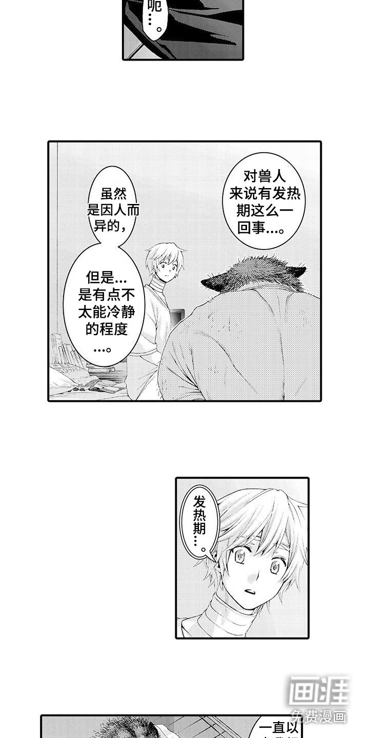 第28章：解释