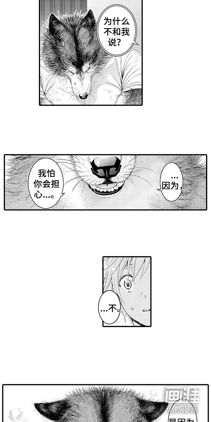 第28章：解释