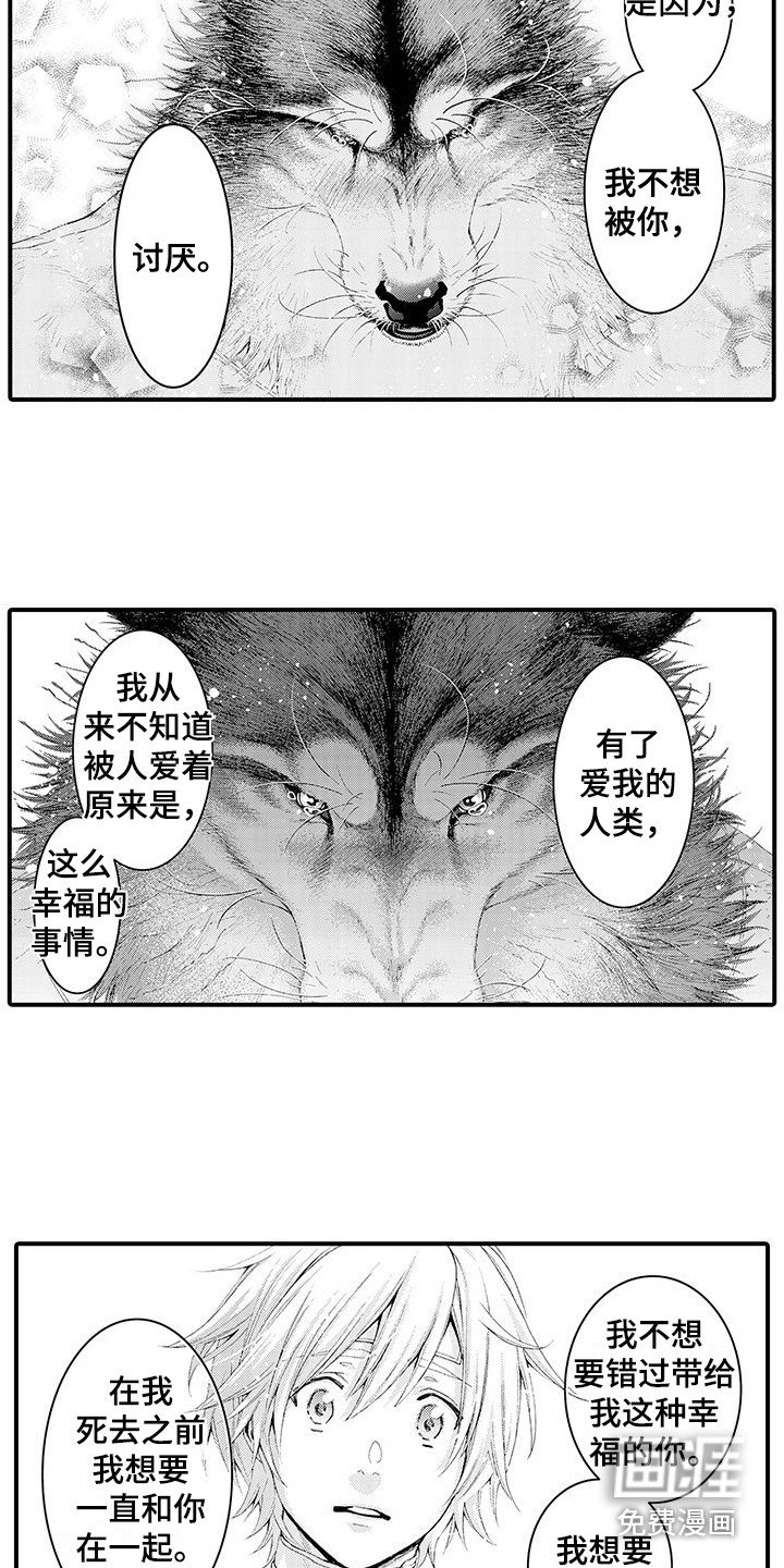 第28章：解释