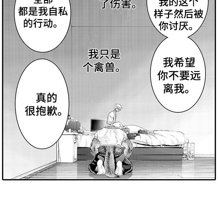 第28章：解释