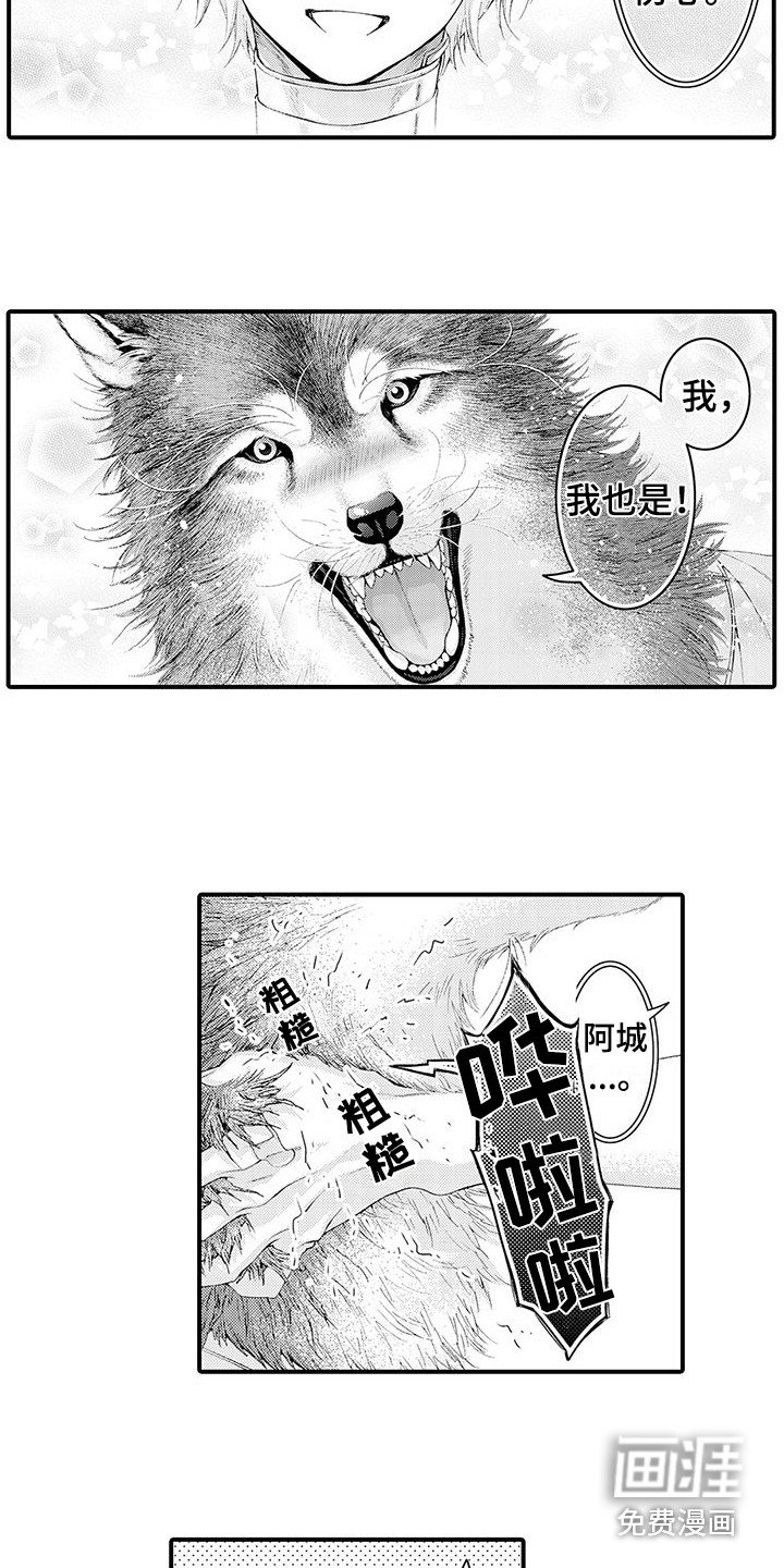 第29章：并不讨厌