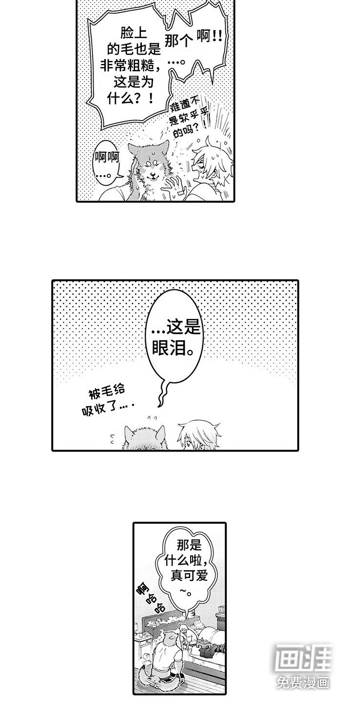 第29章：并不讨厌