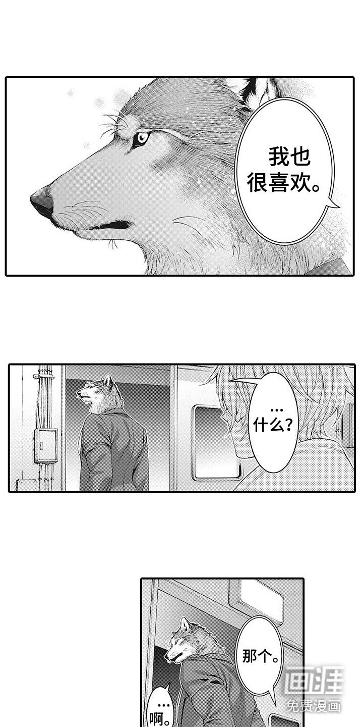 第5章：很神奇