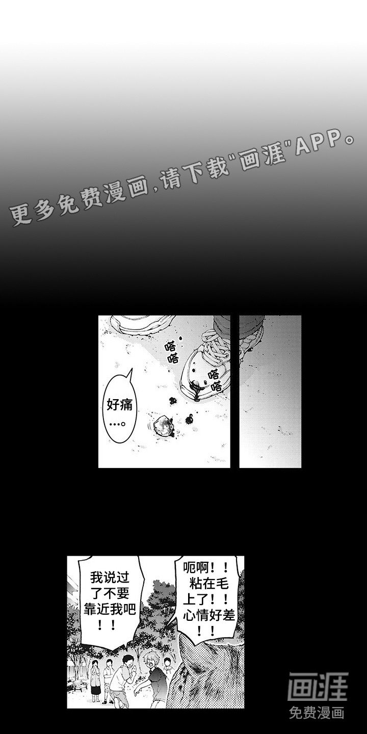 第6章：幻想
