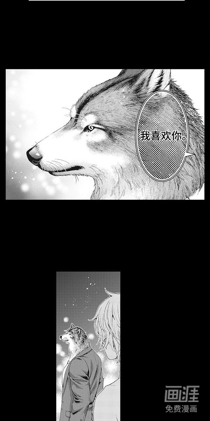 第6章：幻想