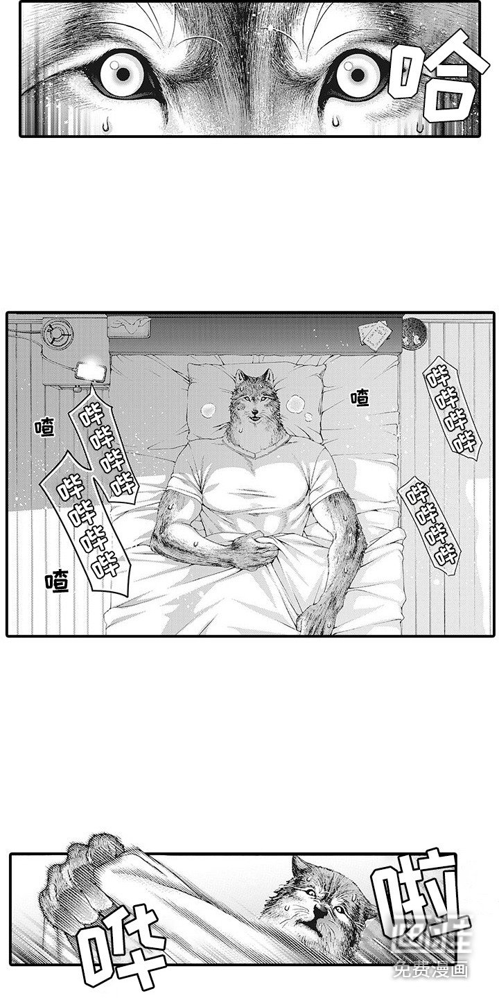 第6章：幻想