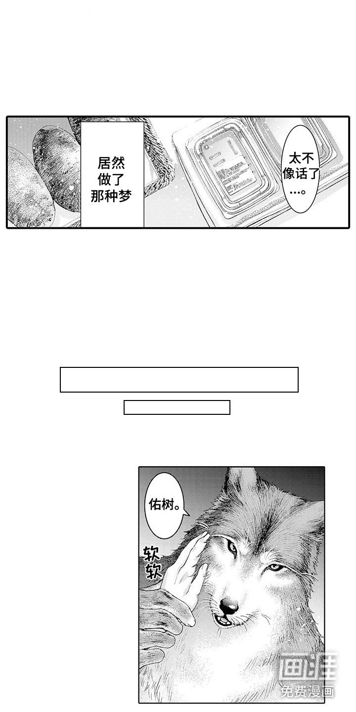 第6章：幻想