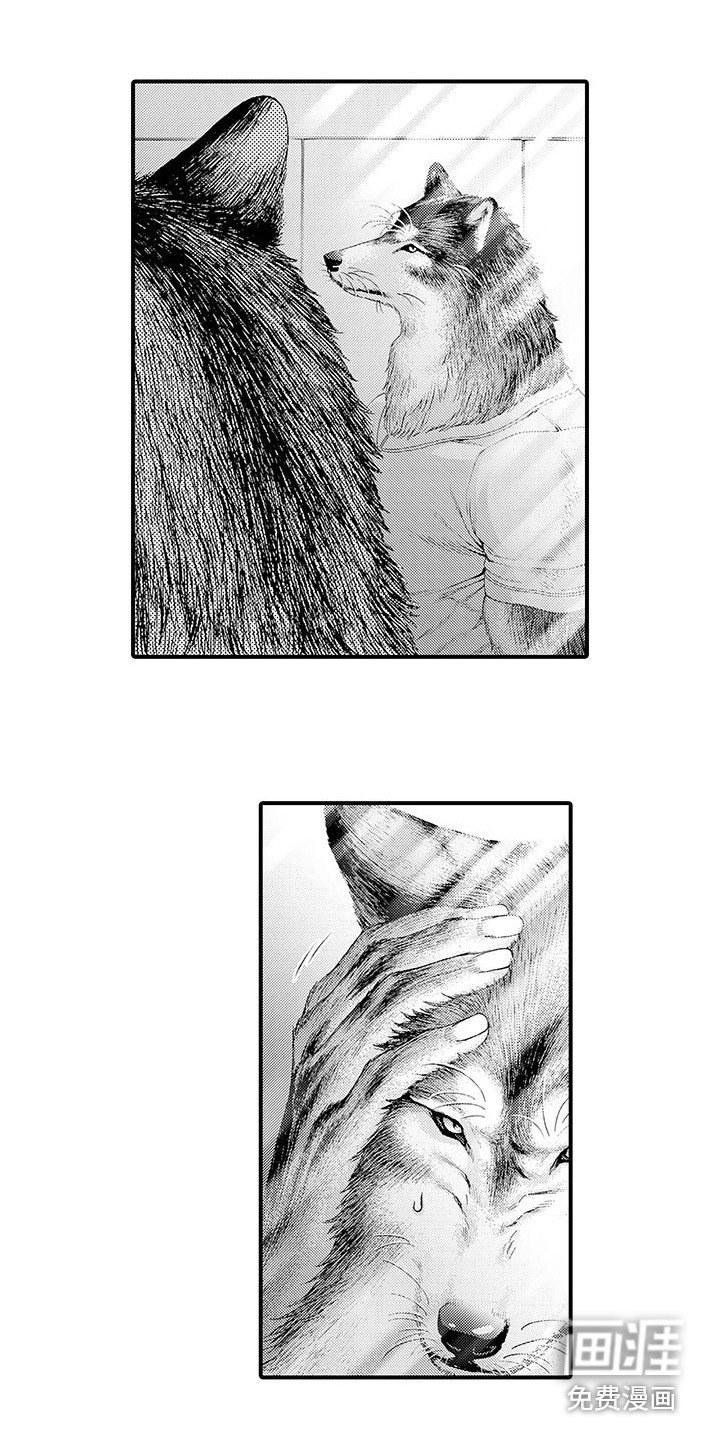第7章：心结