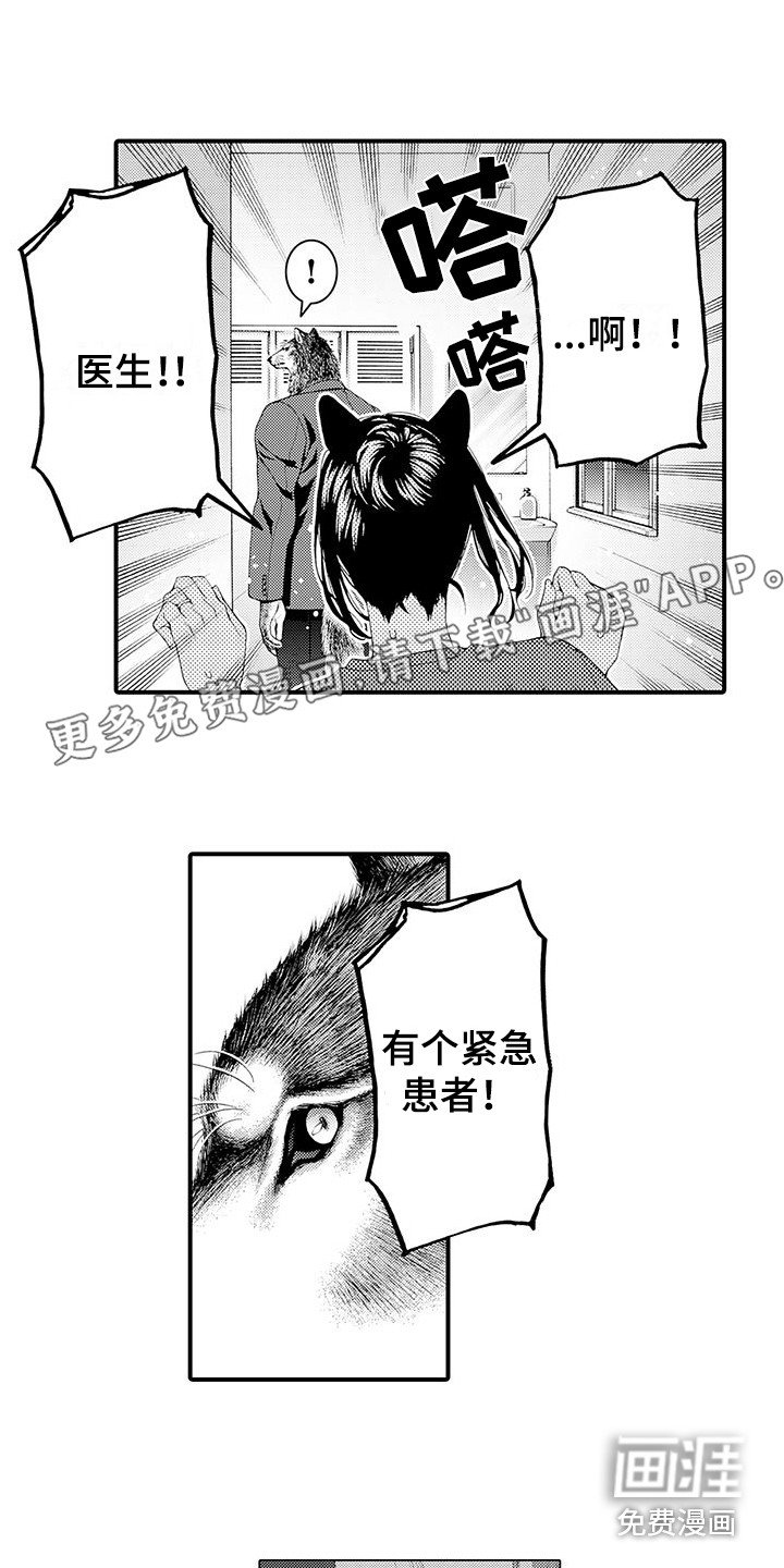 第8章：处理伤口