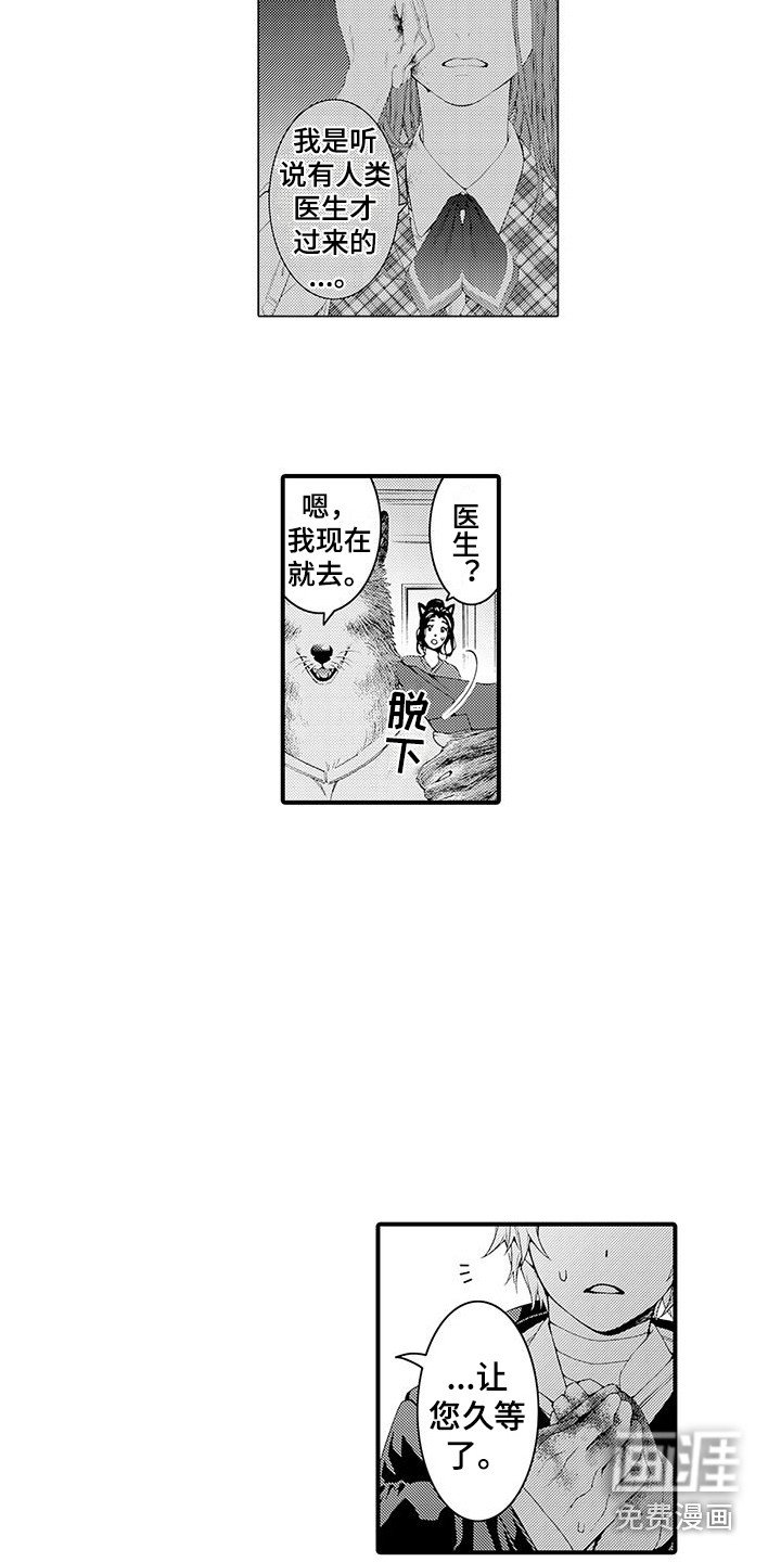 第8章：处理伤口