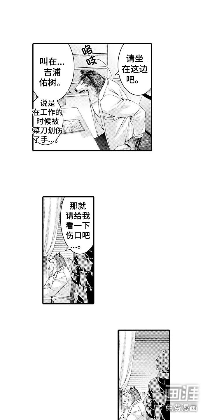 第8章：处理伤口