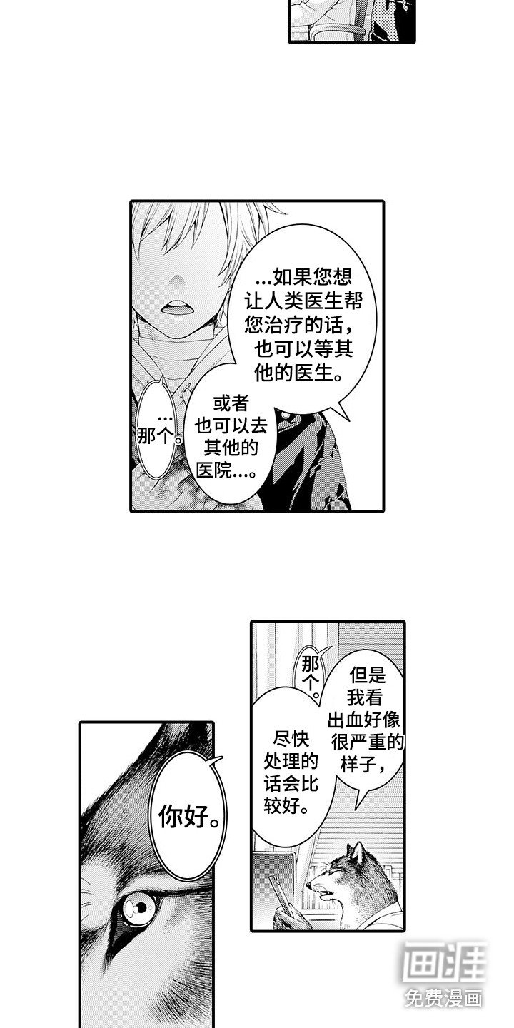 第8章：处理伤口