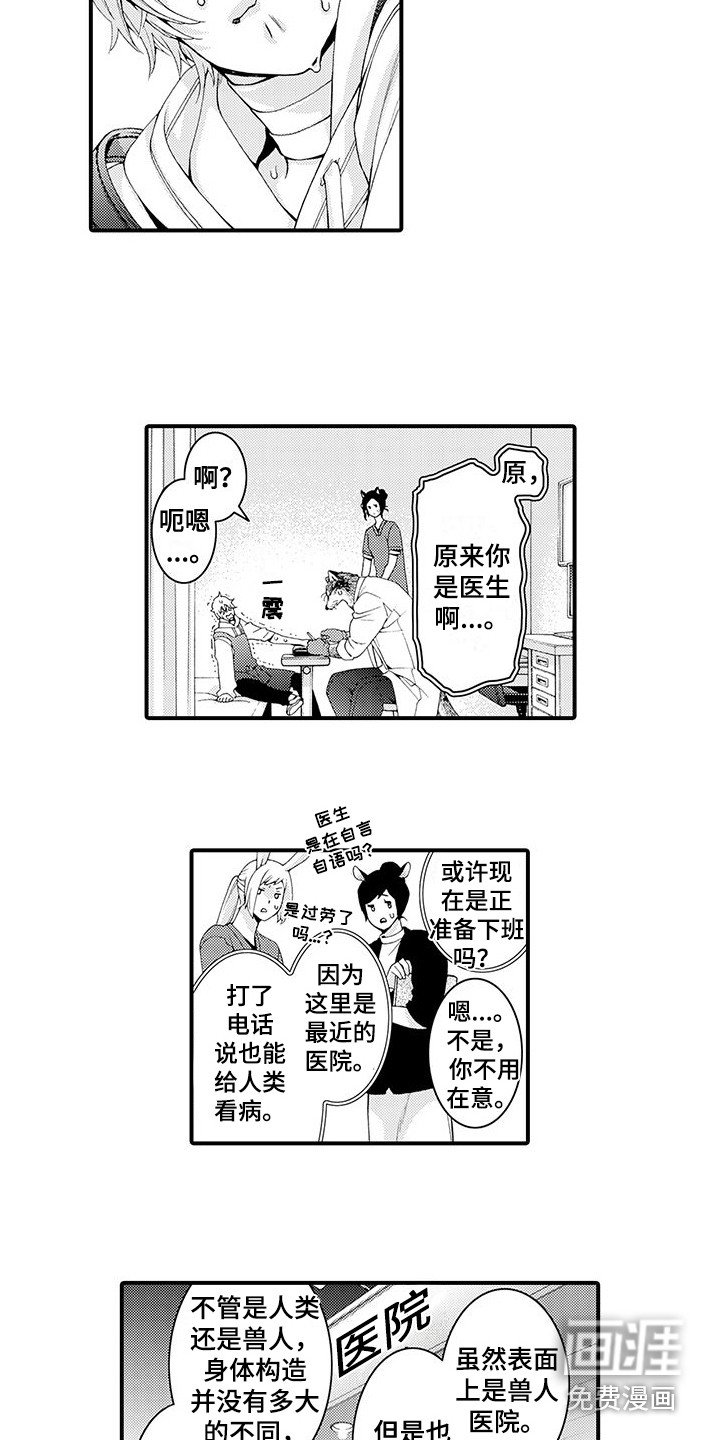 第8章：处理伤口