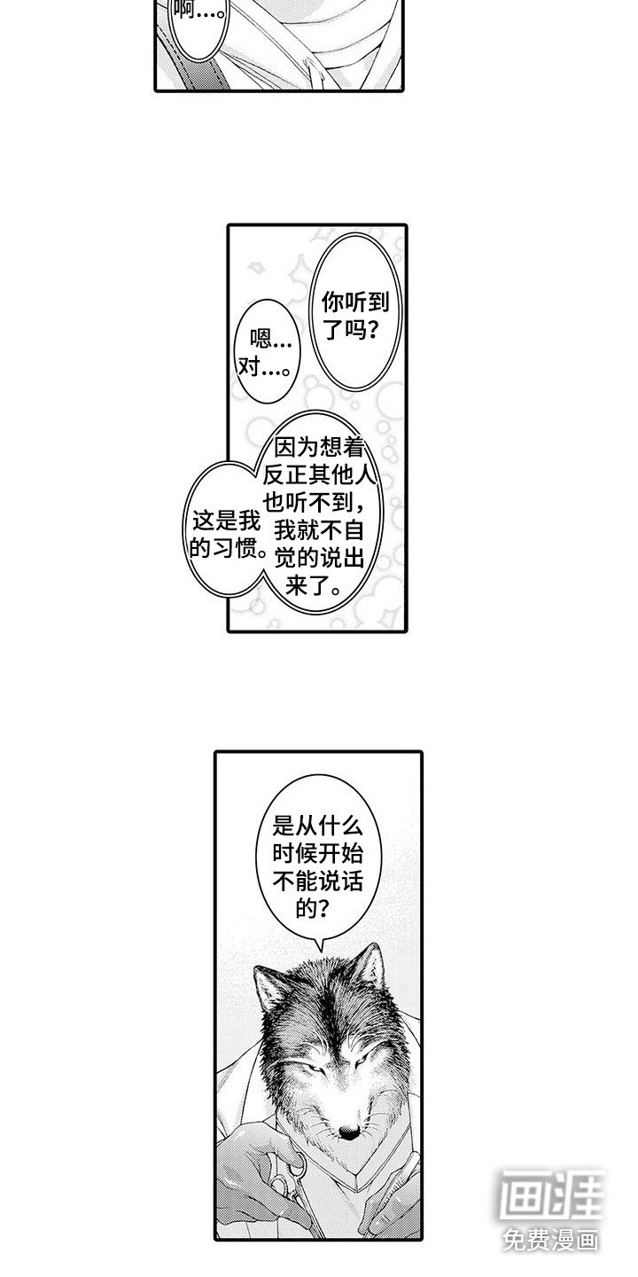第8章：处理伤口