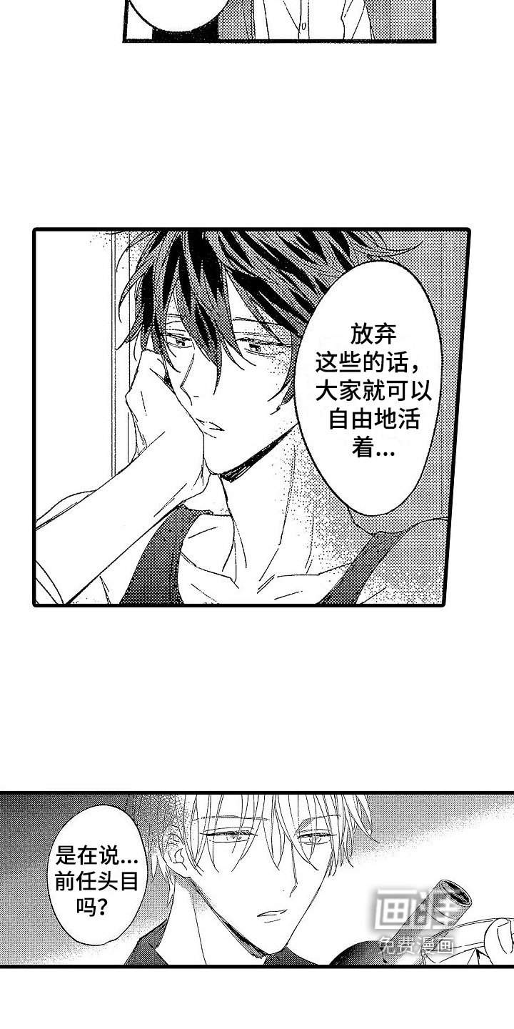 第19章：经历