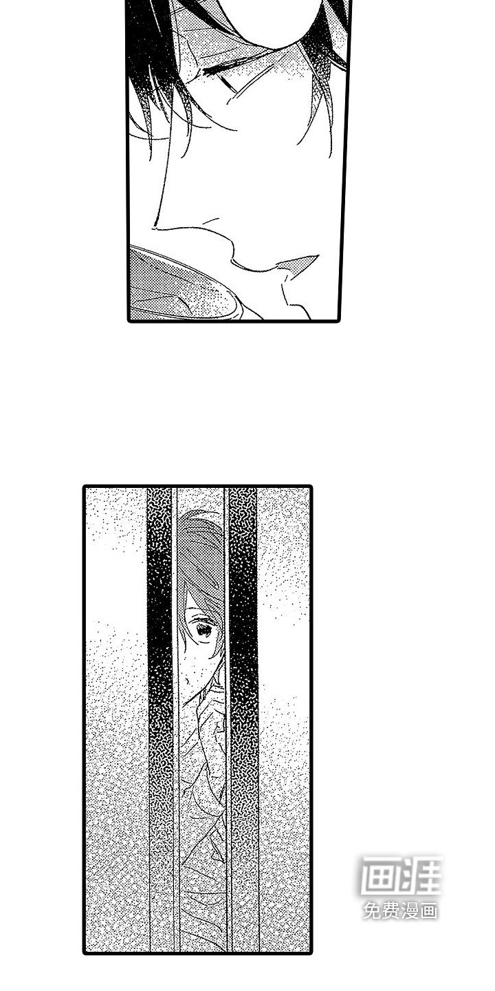 第19章：经历
