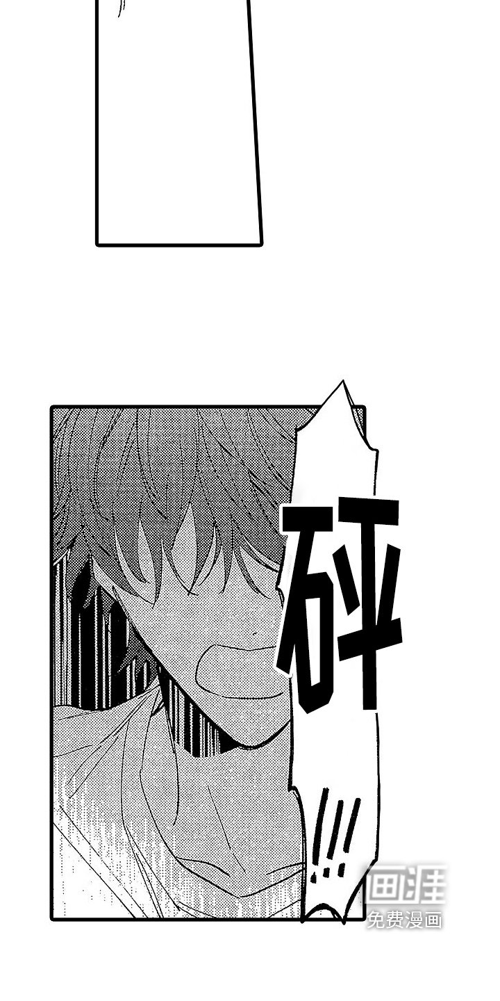 第19章：经历