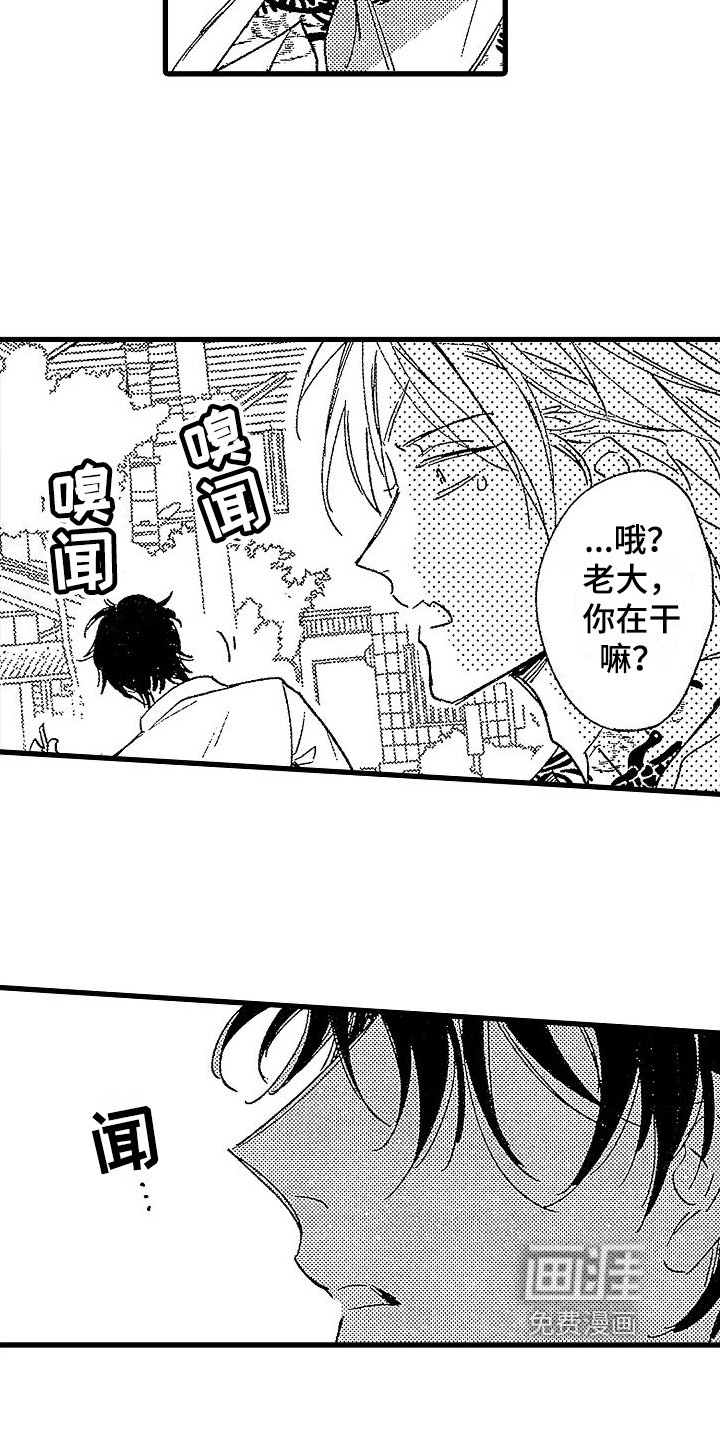 第9章：作用
