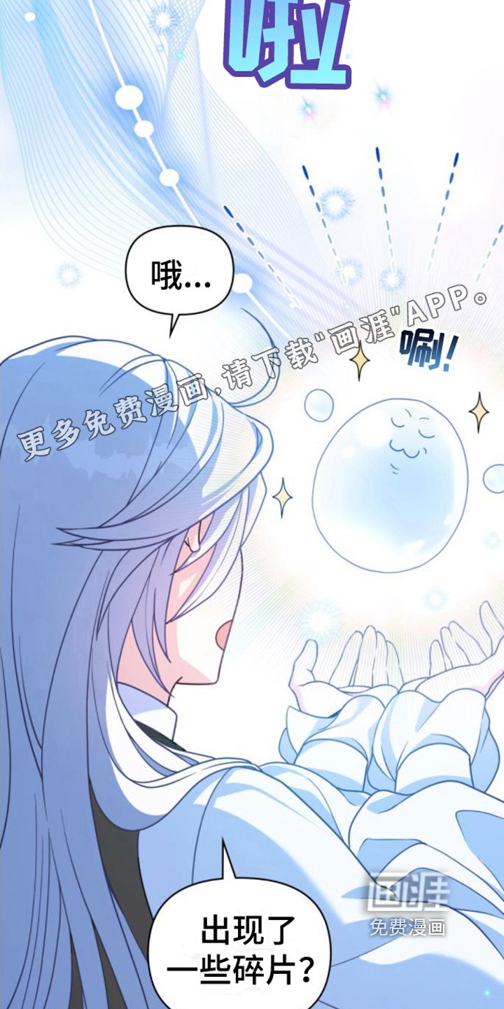 第11章：视察领地