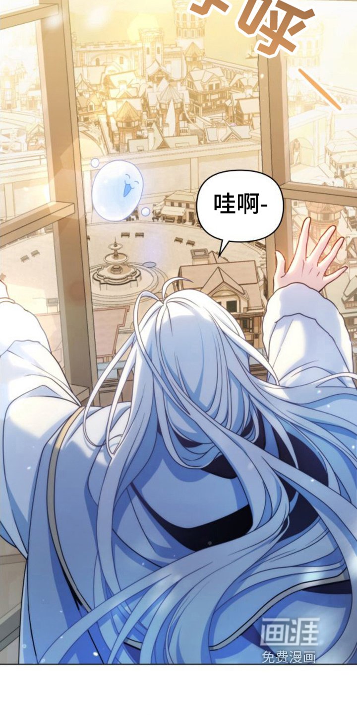 第11章：视察领地