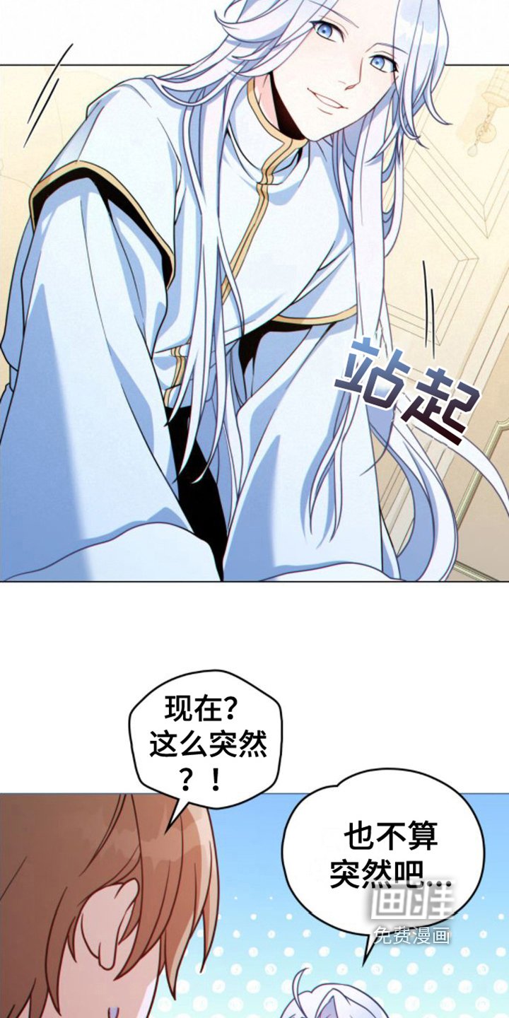 第14章：看法
