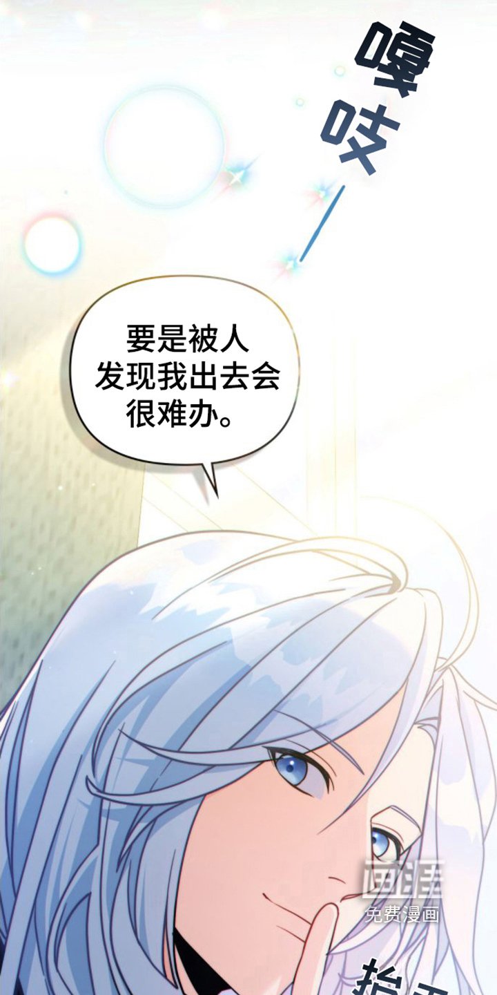 第14章：看法