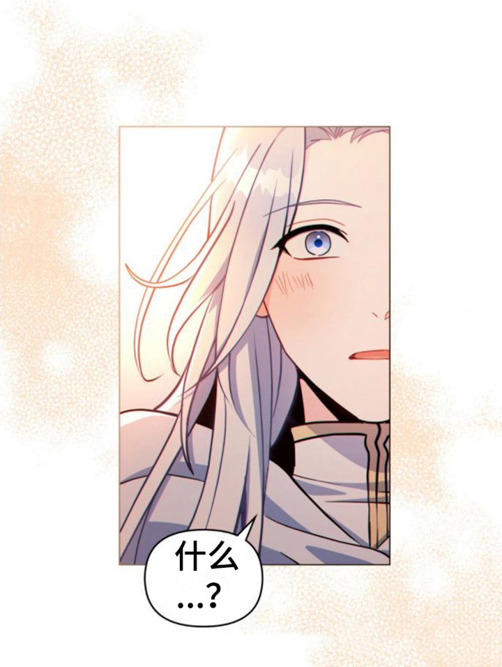 第17章：好奇