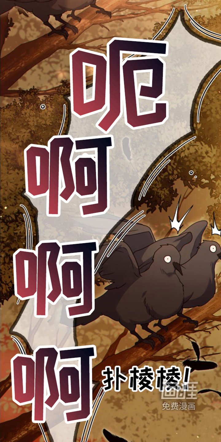 第20章：风景