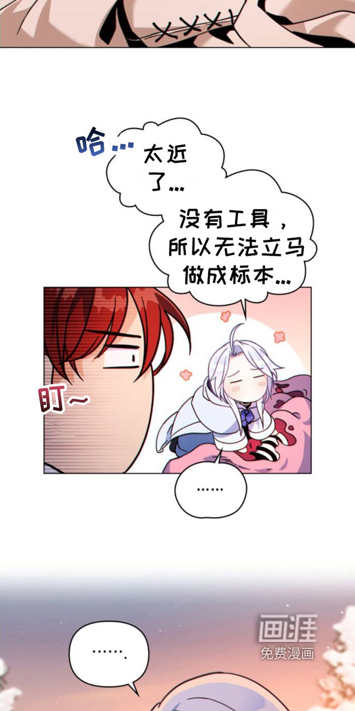 第22章：奇怪