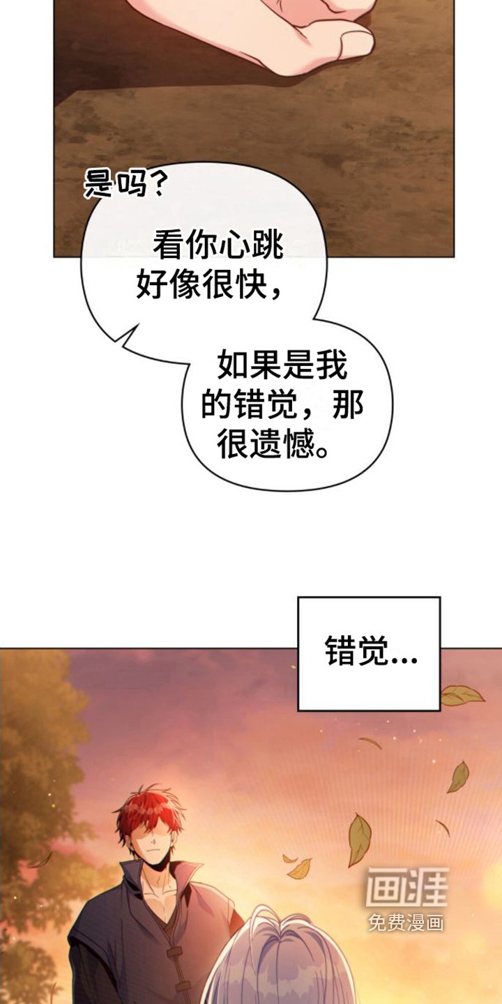 第29章：再升级