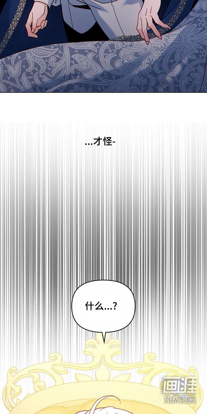 第37章：解释一切